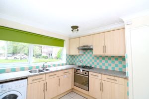 Photo 1- click for photo gallery